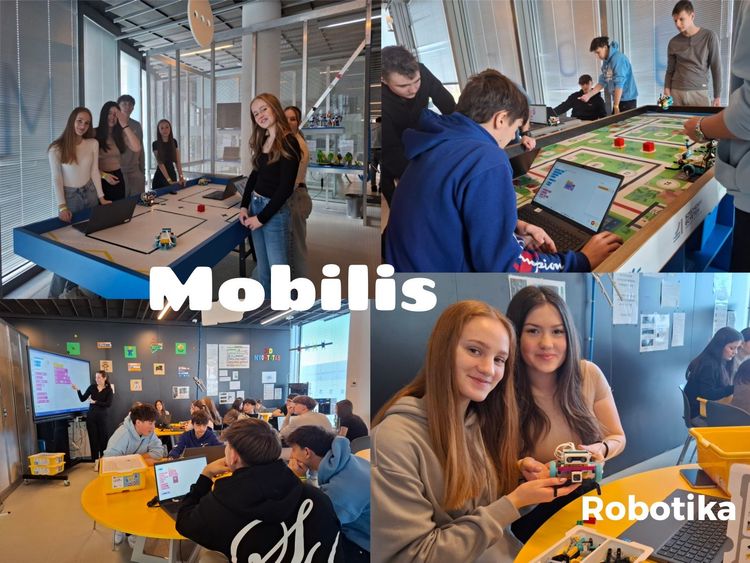 Mobilis látogatás