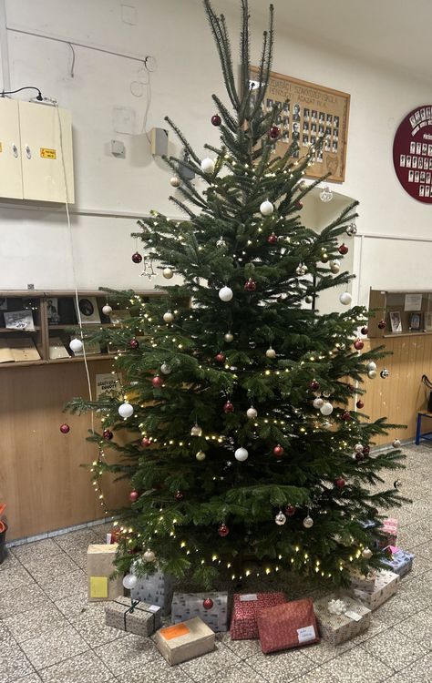 Iskolai karácsonyfa